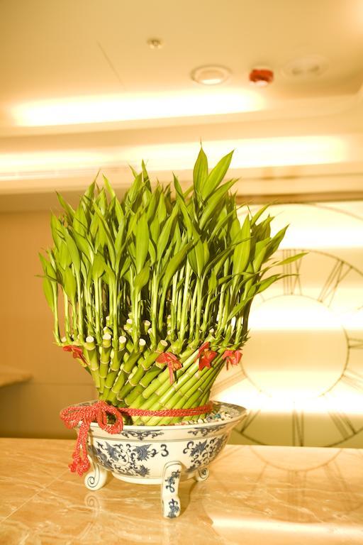 Happy Couples Boutique Hostel Taipei Extérieur photo